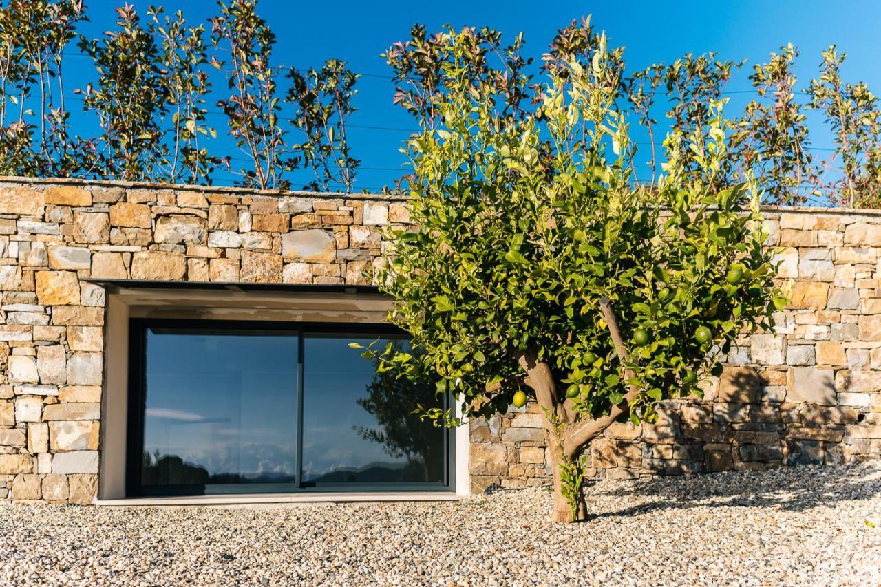 Villa Sabrina Riviera Dei Fiori A Picco Sul Mare Con Piscina Privata ,Wellness & Spa Imperia Exteriör bild